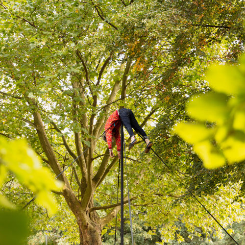 Playground, a family-friendly show suitable for all audiences. Miguel Rubio on a Chinese pole with trees in the background.