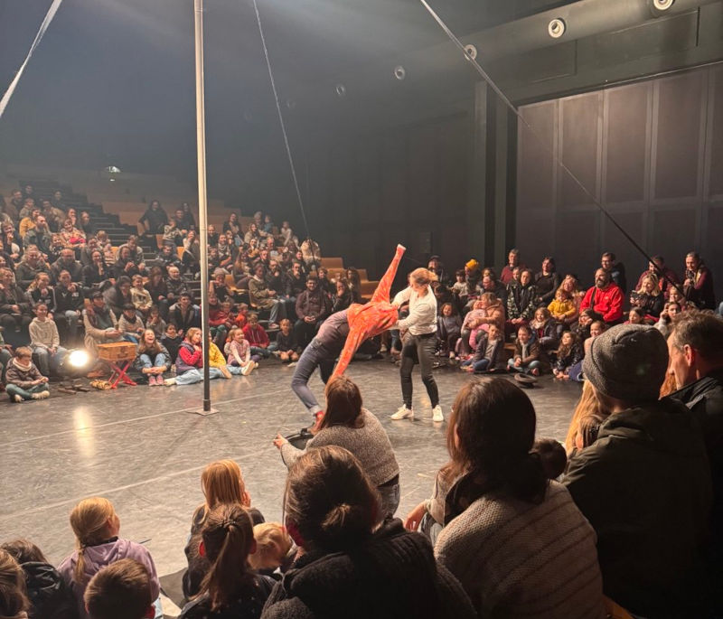 Acrobatics Show on Chinese Pole, also performed indoors.