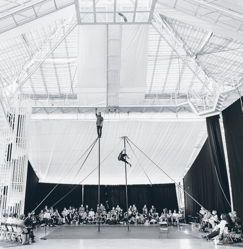 *Laisse-moi* – Nely Carrasco and Miguel Rubio on a Chinese pole, black and white image. Indoor version of the acrobatic duo show.